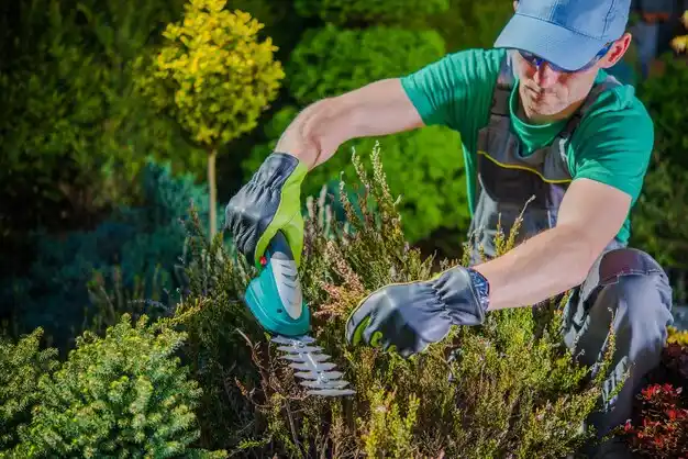 landscaping services New Cassel